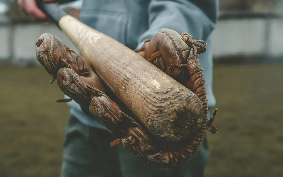 Bate de madera y guante de béisbol